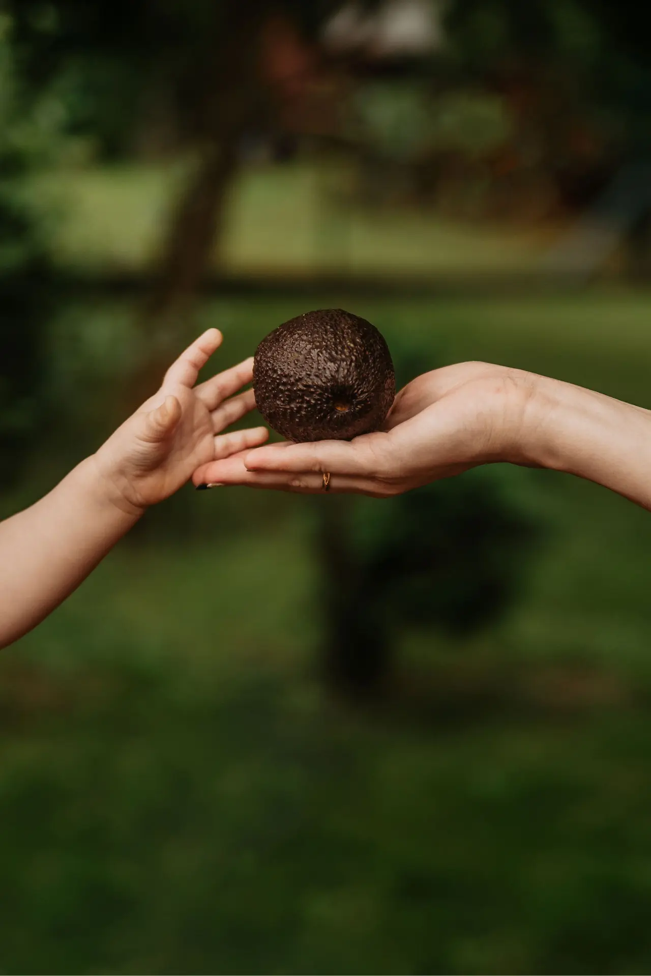 Dziecięca dłoń sięgająca po owoc awokado na wyciągniętej dłoni matki